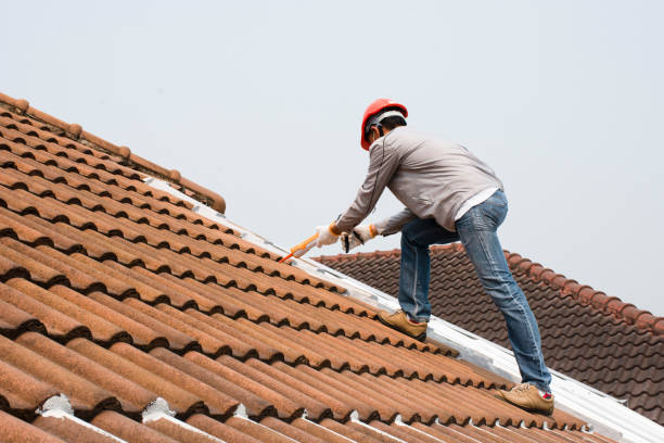 Reliable Sylvester, GA Roofing services Solutions